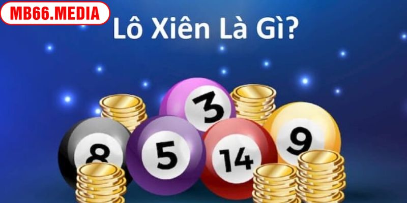 Lô xiên là gì và những điều bet thủ cần nắm