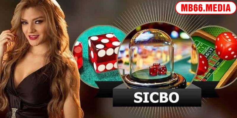 Sic Bo là game cá cược thú vị được yêu thích hiện nay